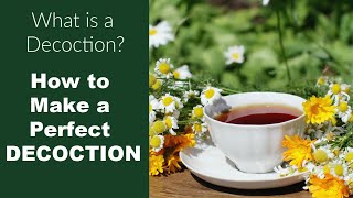 What is a Decoction and How Do You Make One [upl. by Laicram]