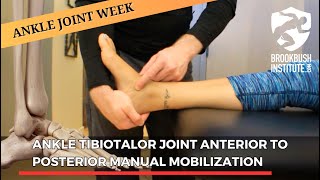 Ankle Tibiotalor Joint Anterior to Posterior Manual Mobilization [upl. by Nauj]