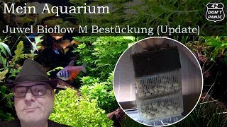 Juwel Bioflow M  Bestückung Update  Mein Aquarium 50 [upl. by Stalker]