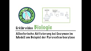 Erklärvideo Biologie – Allosterische Aktivierung von Enzymen am Beispiel der Pyruvatcarboxylase [upl. by Acemaj]