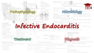 Infective Endocarditis  Pathophysiology Microbiology Clinical Features Diagnosis and Treatment [upl. by Gausman408]