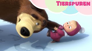 TaDaBoom Deutsch 🐾⛄ TIERSPUREN ⛄🐾 Kinderlieder 🎬 Spuren im Schnee ❄️ Mascha und der Bär [upl. by Anon]