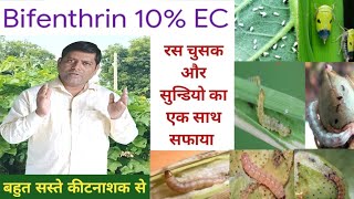 insecticide Bifenthrin 10 सबसे सस्ता रसचूसक और सुन्डियो का एक साथ सफाया।। [upl. by Ane]