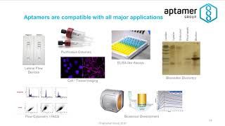 What do aptamers do [upl. by Dyanne]