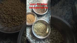 Lapsi ko mitho achar banaune tarika [upl. by Ecinahs]