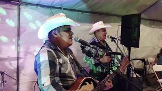 Roble Norteño  El Ayudante en vivo [upl. by Gardol]