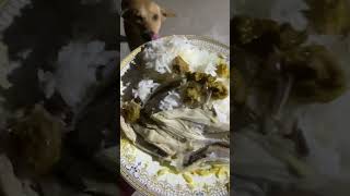 Nice food for my dog today food dogfood doglover [upl. by Obidiah]