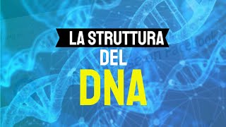 La struttura del DNA 🧬 [upl. by Cibis]