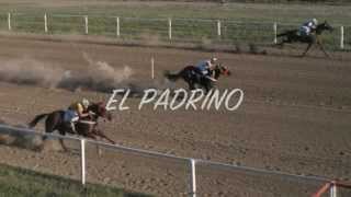 EL PADRINO  GRUPO LABERINTO [upl. by Snashall]