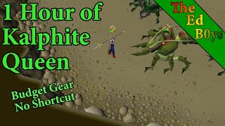 1 Hour of Kalphite Queen Solo  OSRS KQ Budget Gear Examples [upl. by Neersan]