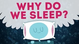 Science Cant Explain Why We Sleep [upl. by Ynnor]