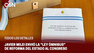 quotLEY ÓMNIBUSquot se declara la EMERGENCIA PÚBLICA y se DELEGAN FACULTADES LEGISLATIVAS al EJECUTIVO [upl. by Colline]