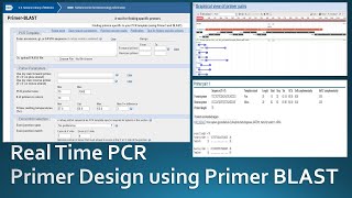 Primer designing for real time PCR using NCBI Primer Blast [upl. by Nyliret699]