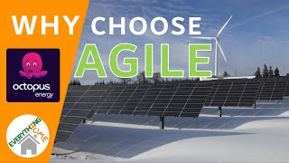 Octopus Energy Why Choose Agile  An Introduction 2021  Do I Save Any Money And If So How [upl. by Led]