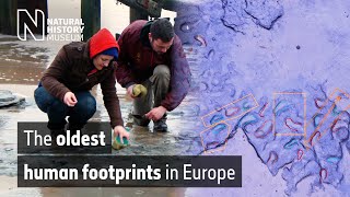 The oldest human footprints in Europe  Natural History Museum [upl. by Pacifica824]