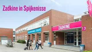 Zadkine locaties in Spijkenisse [upl. by Akeemat143]