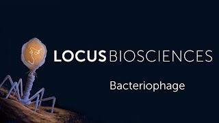 What is Bacteriophage [upl. by Hubert]