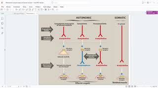 1 Autonomics nervous system MCQ questions مراجعة اسئلة [upl. by Airrotal]