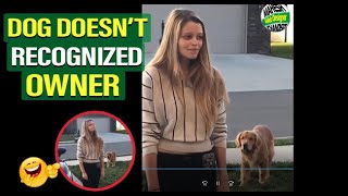 Dog Doesnt Recognize Owner Dog Meet Owner After Long time [upl. by Denver]