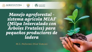 Seminario 19 quotManejo agroforestal  Sistema AgrícolaMIAF para pequeños productores de laderaquot [upl. by Brockie]