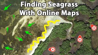 Satellite Maps For Fishing How To Identify Seagrass From Muddy Bottom [upl. by Enileve]