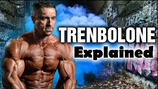 The Holy Grail of Bodybuilding Trenbolone Explained Why I won’t use it ever again [upl. by Constantin]