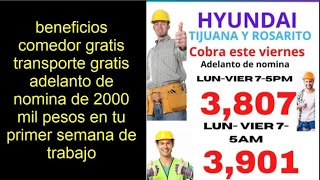 HUYNDAI tijuana y rosarito buena paga sin muchos requisitos esta contratando hombres de 18 a 50 [upl. by Sowell]