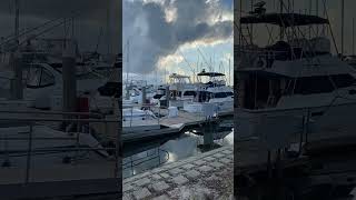 Halifax Harbor Marina floridalife [upl. by Wilburn]