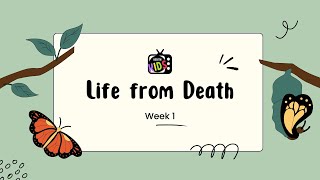 Life from Death  The Seed Must Die KKTV [upl. by Niboc]