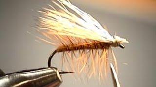 Elk Hair Caddis fly tying video instruction by Brad Befus [upl. by Ursulina978]