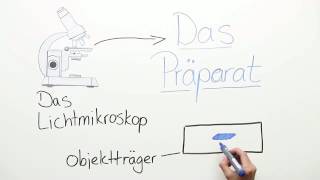 DAS PRÄPARAT  HERSTELLUNG VON PRÄPARATEN FÜR DAS MIKROSKOP  Biologie  Biologie der Zellen [upl. by Ailekat435]