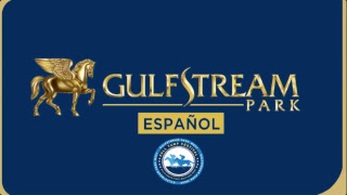 Gulfstream Park Live Stream [upl. by Mcmaster641]