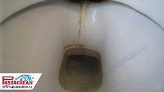 Sanitärpolitur amp Badreiniger von PASTACLEAN  für Toilette Dusche Waschbecken Armaturen [upl. by Yearwood]