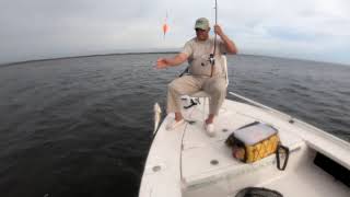 Steinhatchee Fishing Trip Nov 2018 [upl. by Atthia]