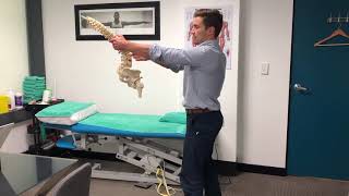 Exercises for Low Back Pain in Office Workers  How to Fix Back Pain [upl. by Perretta]