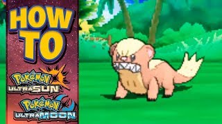 HOW TO GET Yungoos in Pokemon Ultra Sun and Moon [upl. by Bega611]