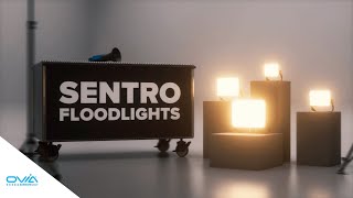 Introducing SENTRO FLOODLIGHTS ☀ Ovia Lighting [upl. by Kciredohr235]