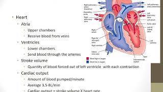 Fundamentals Chapter 39 Oxygenation MP4 [upl. by Ilatfen]