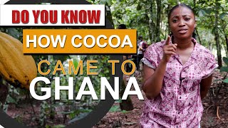 TETTEH QUARSHIE COCOA FARM  THE 1ST COCOA FARM IN GHANA [upl. by Gertrud]