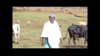 Ager Lasayish  Gojjam Cultural Music by Solomon Demissie [upl. by Byrom]