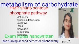 HMP shuntpentose phosphate pathway biochemistry [upl. by Rossen500]