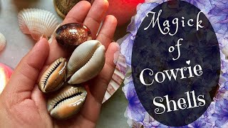 The Secret Spiritual Powers Of Cowries how to use Cowries to Attract Money Love Favour [upl. by Lundgren]