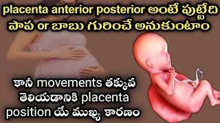 placenta position anterior baby movementsanterior placentaposterior placentafetal movements [upl. by Shaughn]