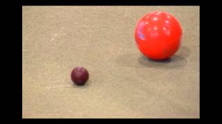 How to play Bocce Ball [upl. by Lhadnek]