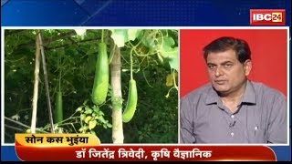 लौकी की खेती करेले की खेती  Bottle Gourd Farming Momordica charantia Farming  Sonkas Bhuiyan [upl. by Robena]