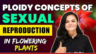 Ploidy Concepts of Sexual Reproduction in Flowering Plants [upl. by Ani310]