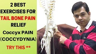 2 BEST Exercises For Tail bone Pain Coccydynia CoccyxTail Bone Pain Relief Treatment at Home [upl. by Inavihs]