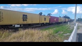 48159 G516 going pass Marrickville Station in May 2023 [upl. by Ignatia]