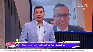 Permiso por paternidad en México [upl. by Mathias]