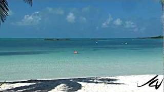 Contoy Island Cancun Mexico  YouTube [upl. by Nyrret585]